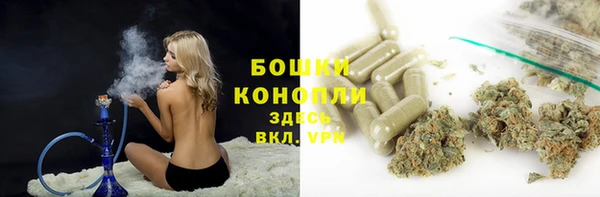 ГАЛЛЮЦИНОГЕННЫЕ ГРИБЫ Протвино