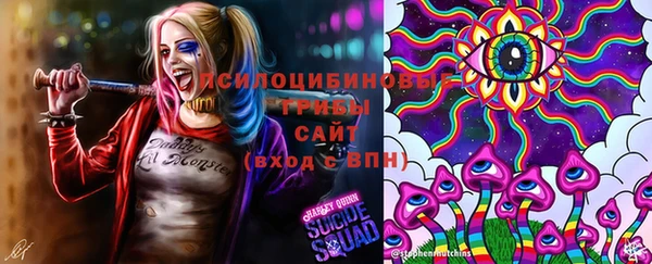 экстази Приозерск