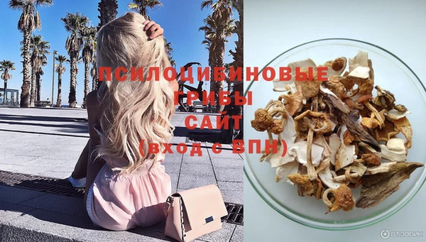 экстази Приозерск