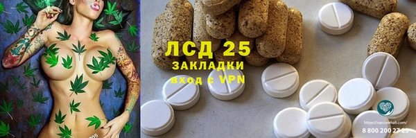 ГАЛЛЮЦИНОГЕННЫЕ ГРИБЫ Протвино