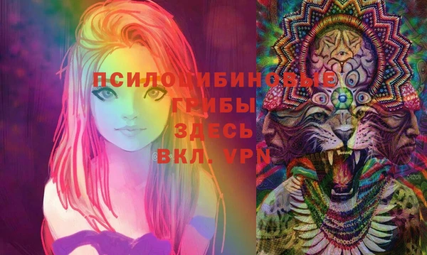 экстази Приозерск