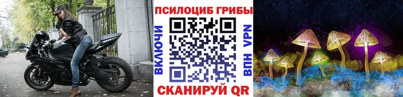 Галлюциногенные грибы Psilocybine cubensis  Славянск-на-Кубани 