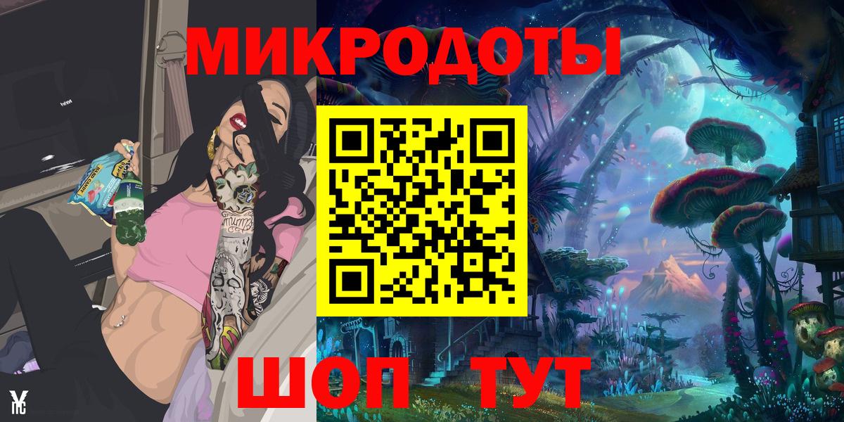 Псилоцибиновые грибы Psilocybe  Славянск-на-Кубани 